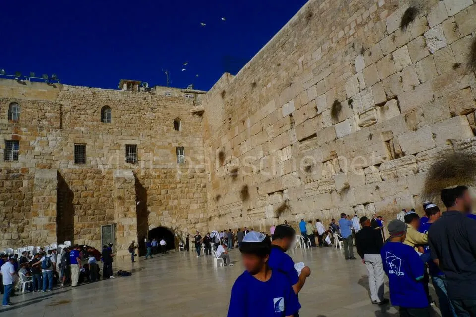 Western wall, area for men